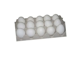 15 Schweizer Freilandeier (53g+)