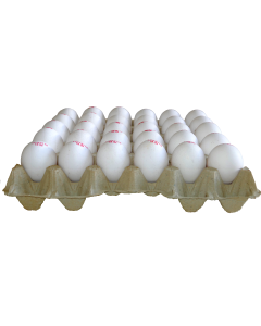 Schweizer Omega 3 Freilandeier (Grossmengen)