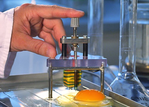 Haugh Unit Methode