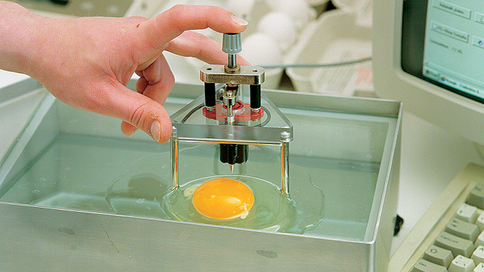 Eier Testgerät