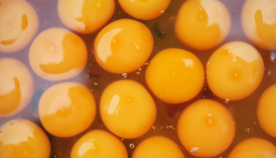 Temperaturresistenz von Eiern